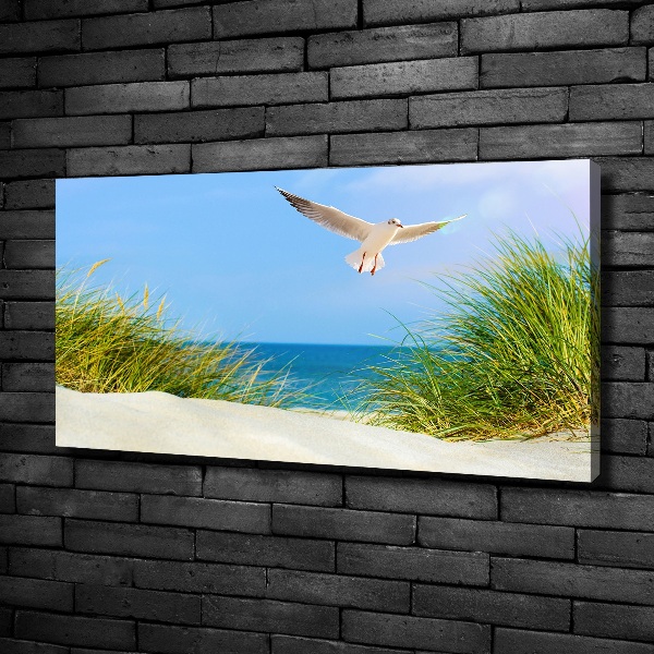 Schilderij op canvas Meeuw op het strand