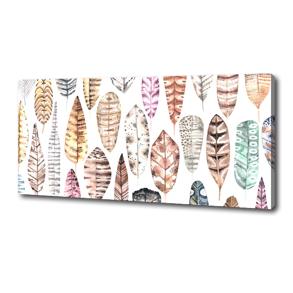 Schilderij op canvas Kleurrijke veren