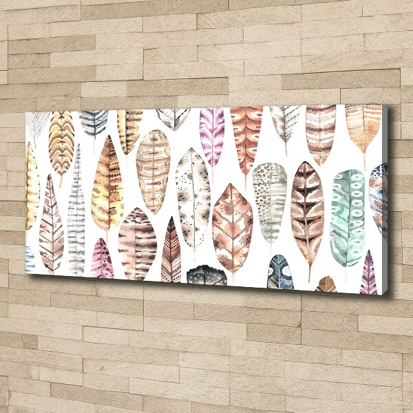 Schilderij op canvas Kleurrijke veren