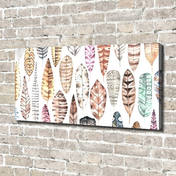 Schilderij op canvas Kleurrijke veren