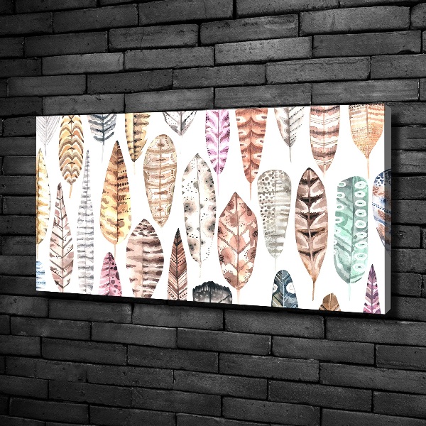 Schilderij op canvas Kleurrijke veren