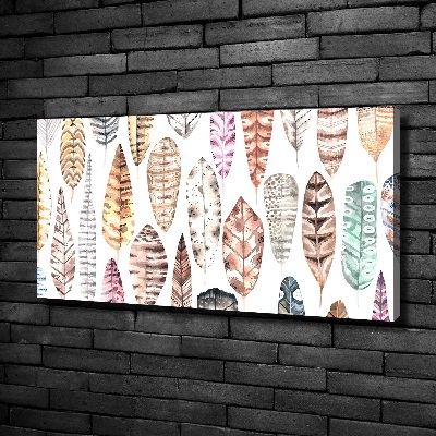 Schilderij op canvas Kleurrijke veren