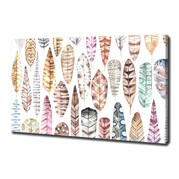 Schilderij op canvas Kleurrijke veren