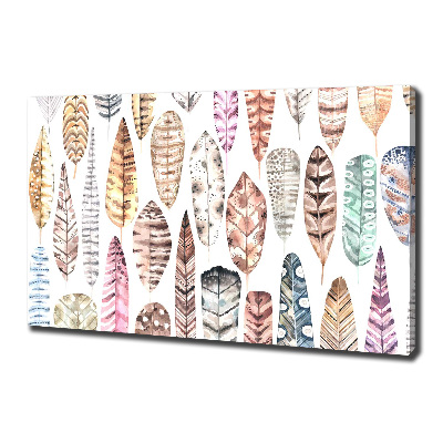 Schilderij op canvas Kleurrijke veren