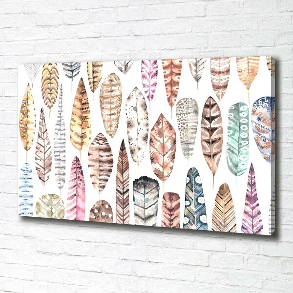 Schilderij op canvas Kleurrijke veren
