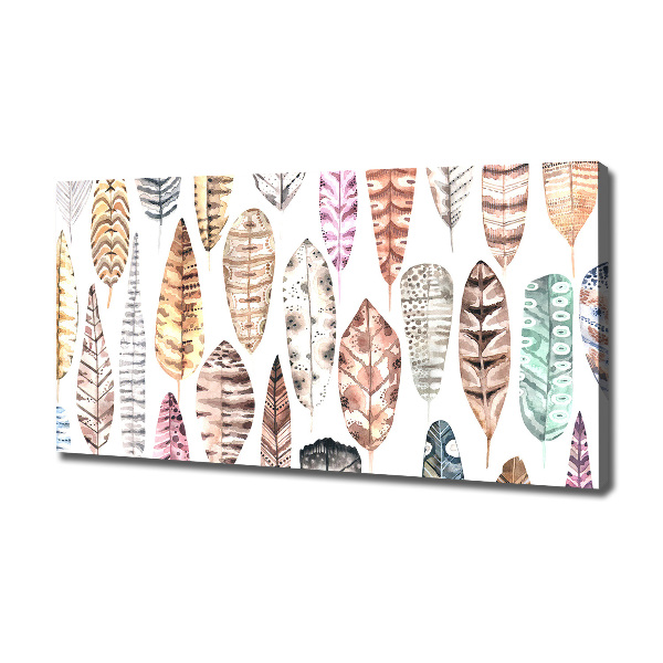 Schilderij op canvas Kleurrijke veren