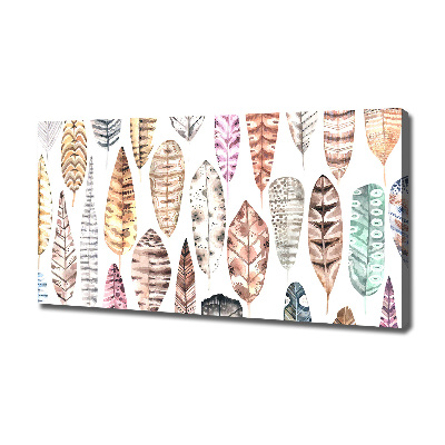 Schilderij op canvas Kleurrijke veren