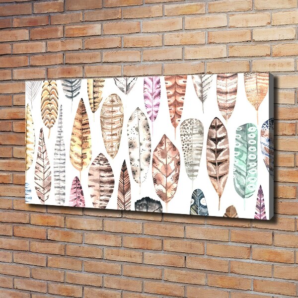 Schilderij op canvas Kleurrijke veren