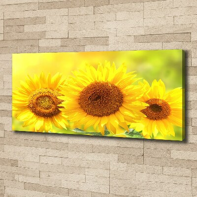 Canvas foto Zonnebloemen