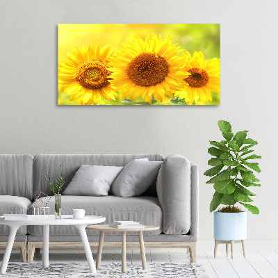 Canvas foto Zonnebloemen