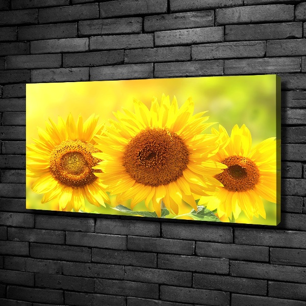 Canvas foto Zonnebloemen
