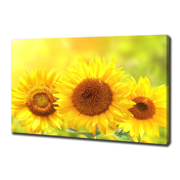 Canvas foto Zonnebloemen