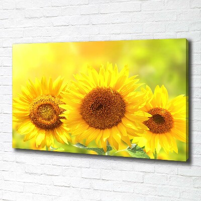 Canvas foto Zonnebloemen