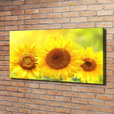 Canvas foto Zonnebloemen