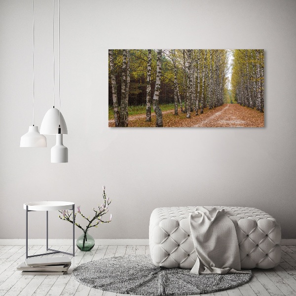 Foto op canvas Berkenlaan