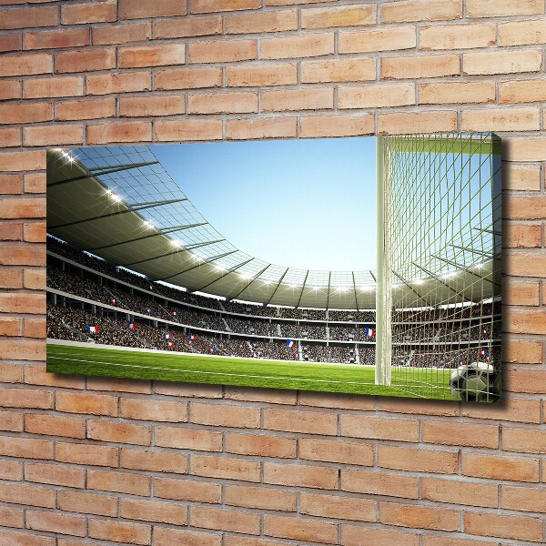 Foto canvas Stadion Frankrijk