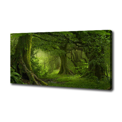 Foto canvas Tropische jungle