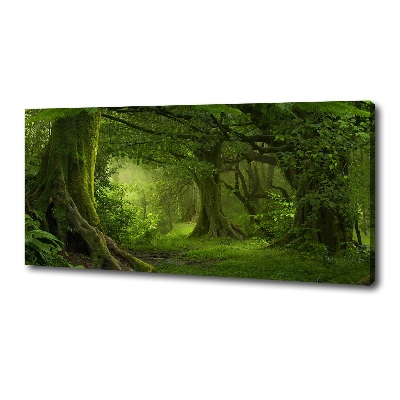 Foto canvas Tropische jungle