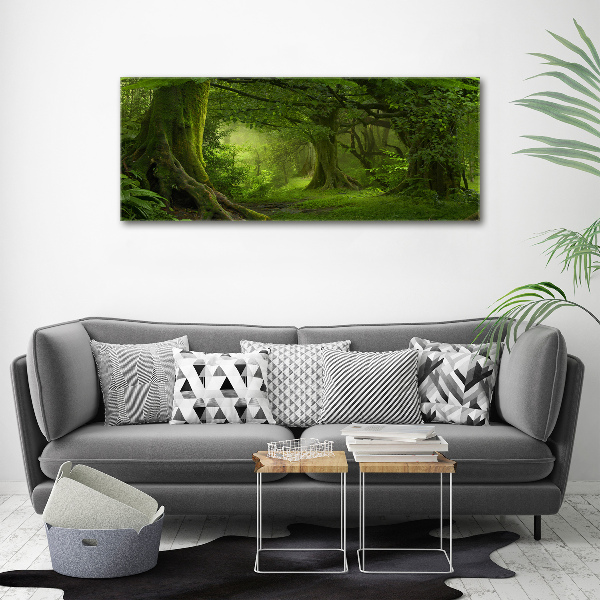 Foto canvas Tropische jungle