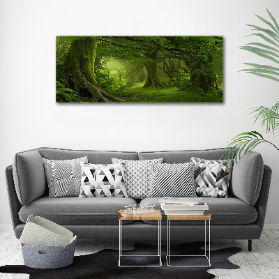Foto canvas Tropische jungle