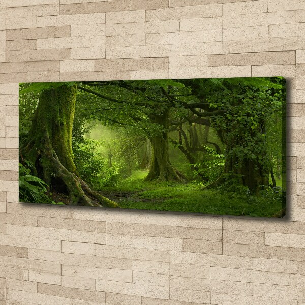 Foto canvas Tropische jungle