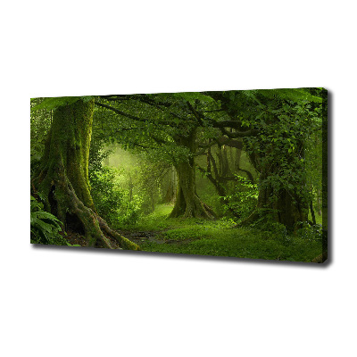 Foto canvas Tropische jungle