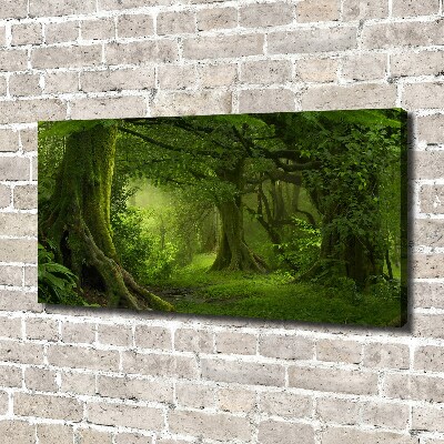 Foto canvas Tropische jungle