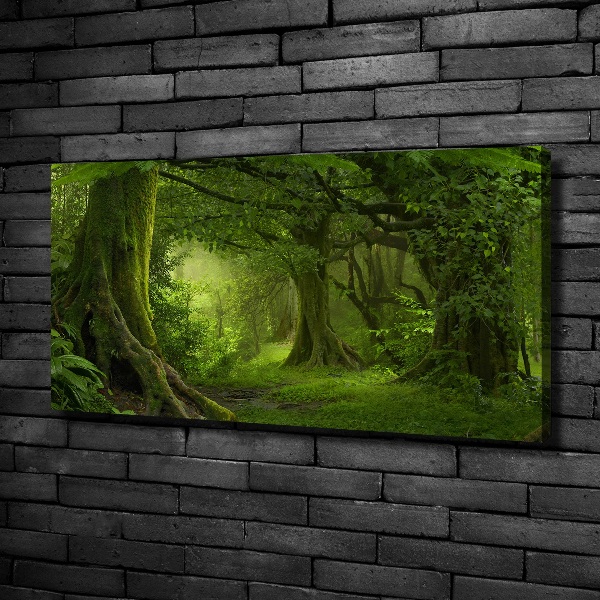 Foto canvas Tropische jungle