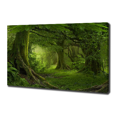 Foto canvas Tropische jungle