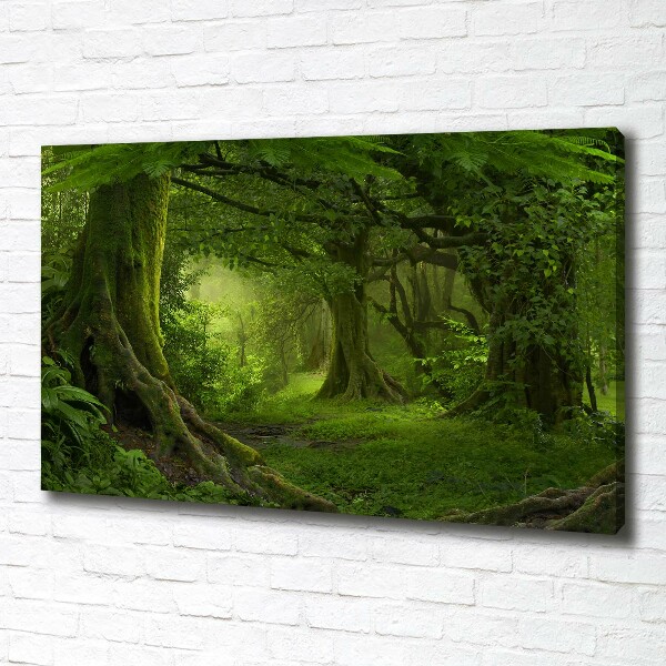 Foto canvas Tropische jungle