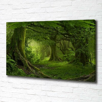 Foto canvas Tropische jungle