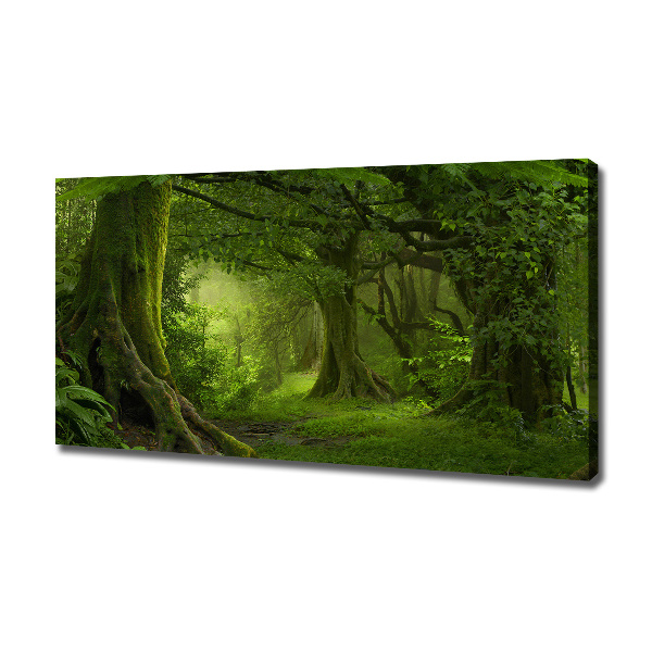 Foto canvas Tropische jungle