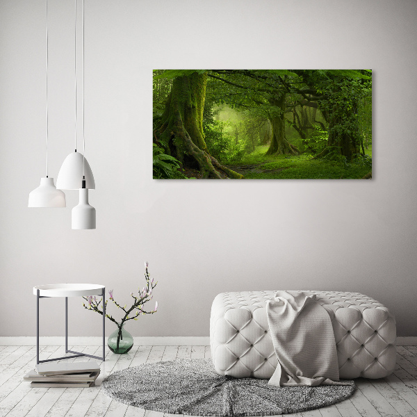 Foto canvas Tropische jungle