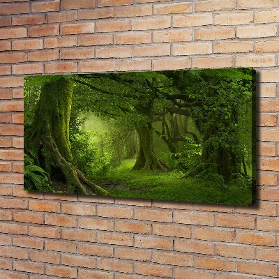 Foto canvas Tropische jungle
