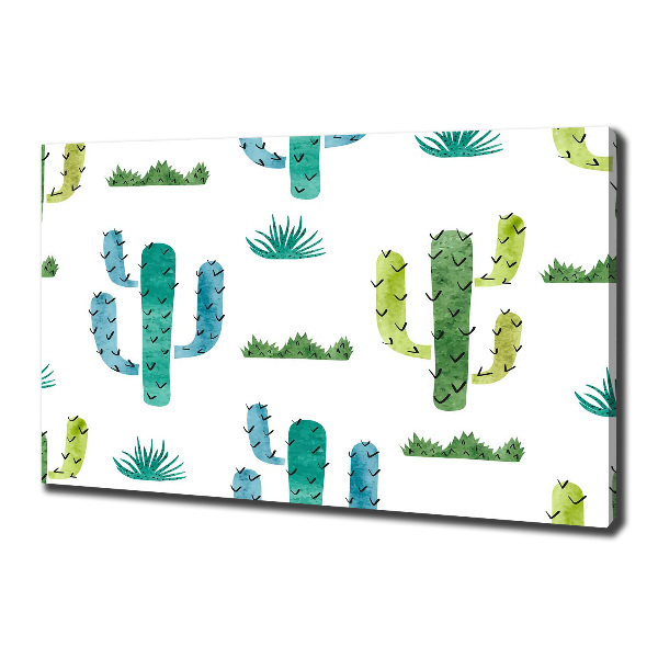 Foto canvas Cactussen