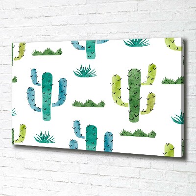 Foto canvas Cactussen