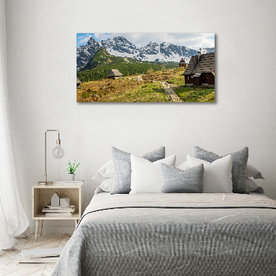 Foto op canvas Tatragebergte weiden