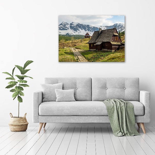 Foto op canvas Tatragebergte weiden