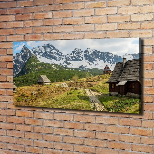 Foto op canvas Tatragebergte weiden