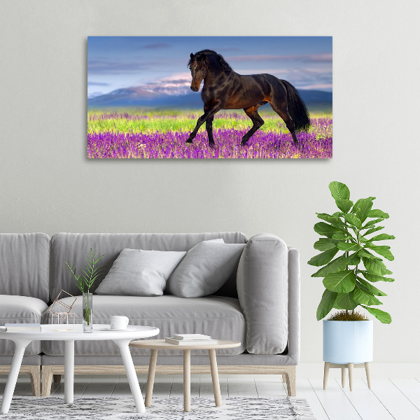 Foto op canvas Een paard in een lavendelveld