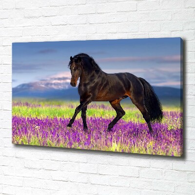 Foto op canvas Een paard in een lavendelveld