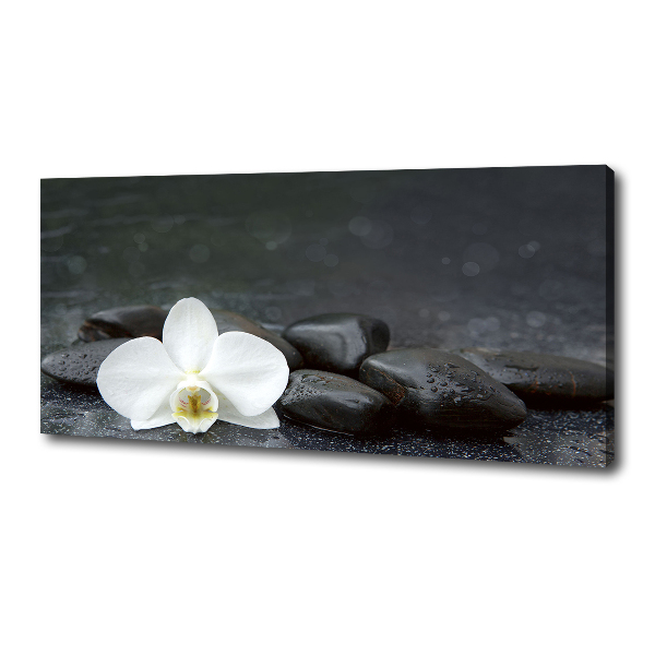 Foto op canvas Orchidee