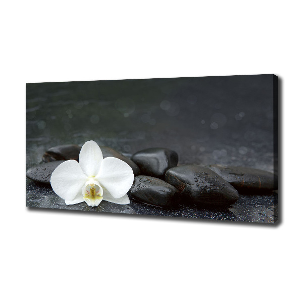Foto op canvas Orchidee