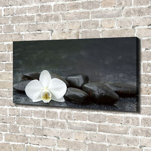 Foto op canvas Orchidee