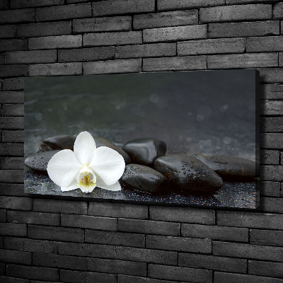 Foto op canvas Orchidee