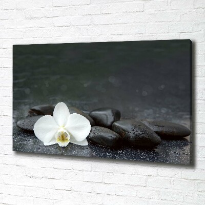 Foto op canvas Orchidee