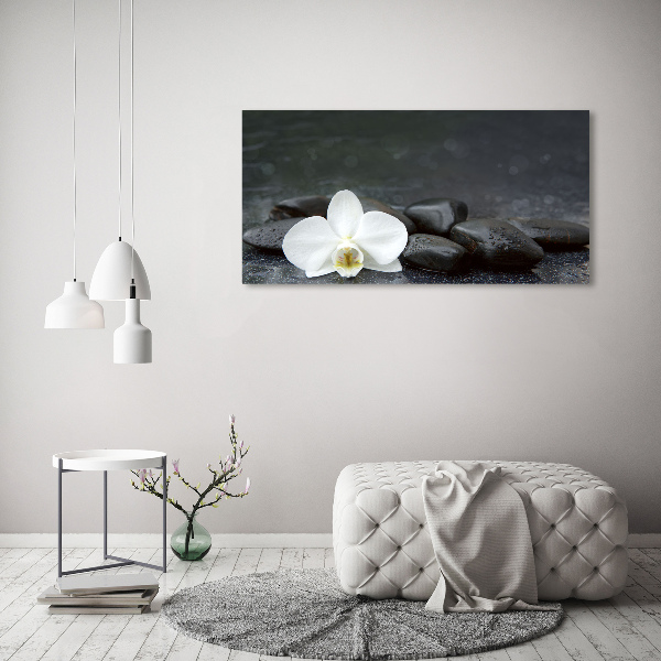Foto op canvas Orchidee