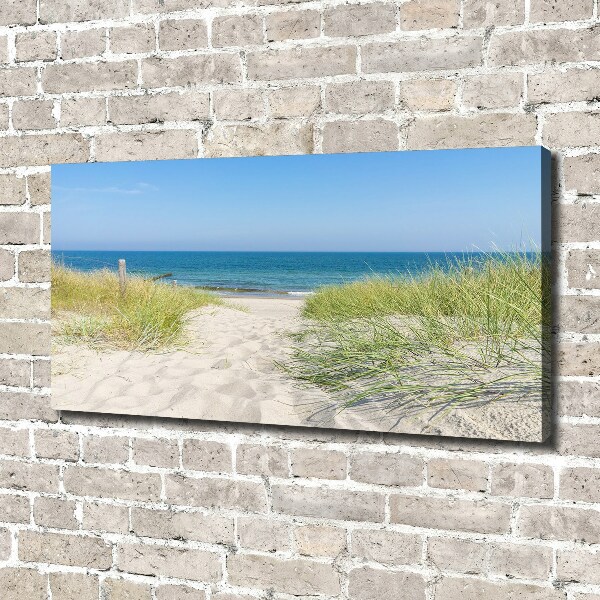 Schilderij op canvas duinen aan zee