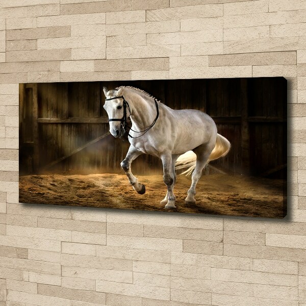 Canvas schilderij Wit paard in de stal