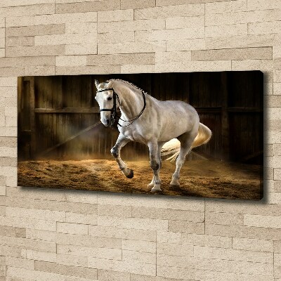 Canvas schilderij Wit paard in de stal